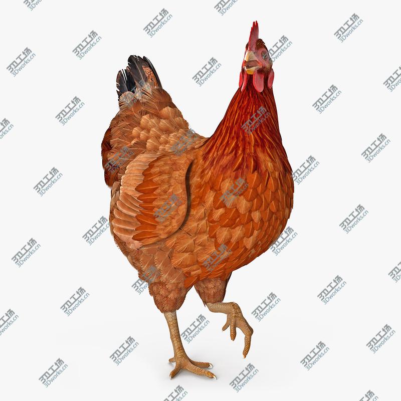 images/goods_img/2021040162/3D model Brown Chicken Rigged/1.jpg